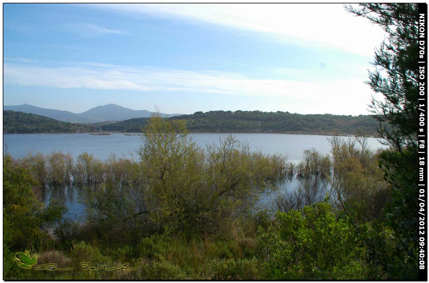 Oplione dal Lago di Baratz No 76 - con biotop