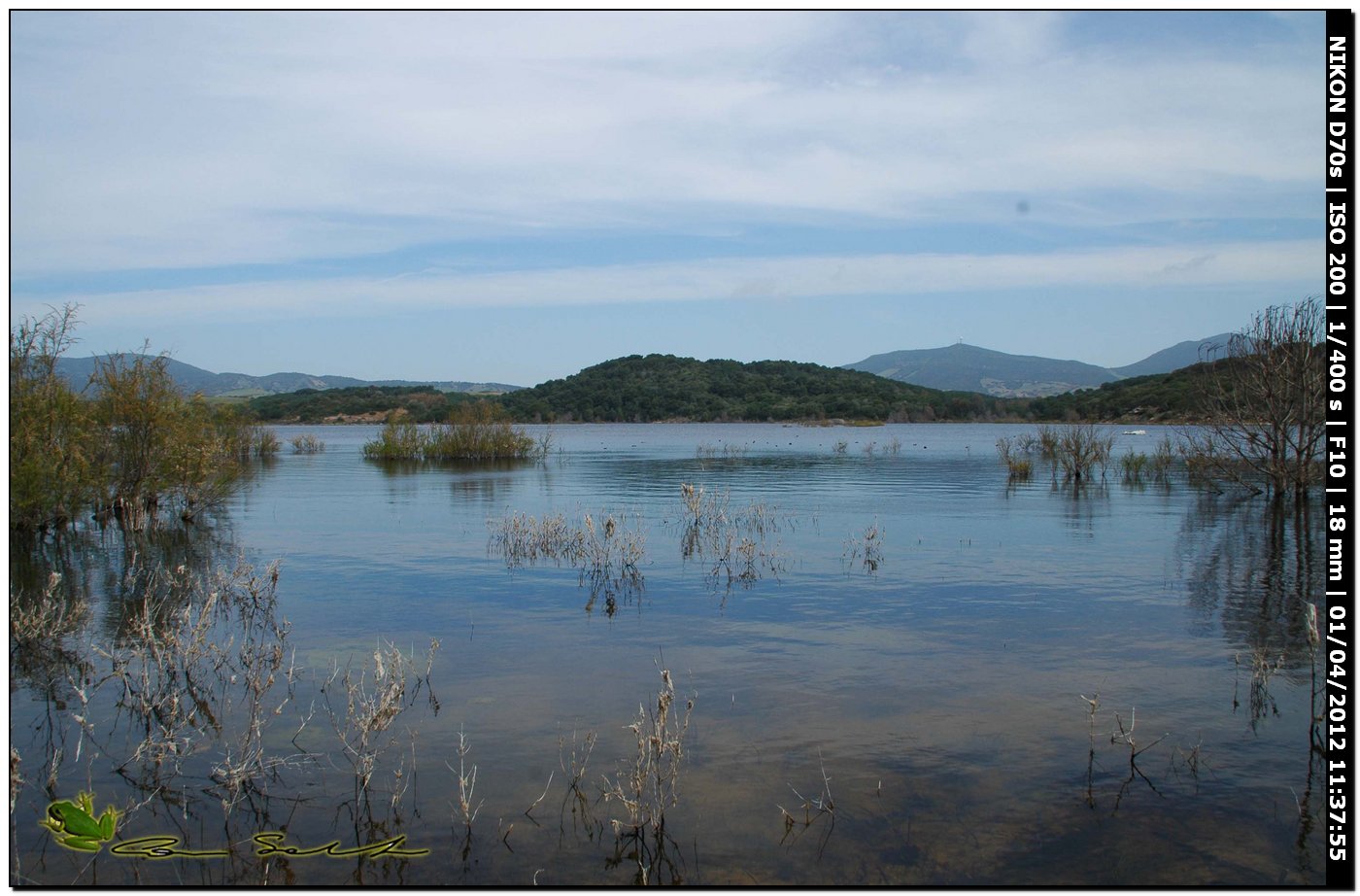 Oplione dal Lago di Baratz No 76 - con biotop