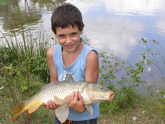 colorazione strana carpa