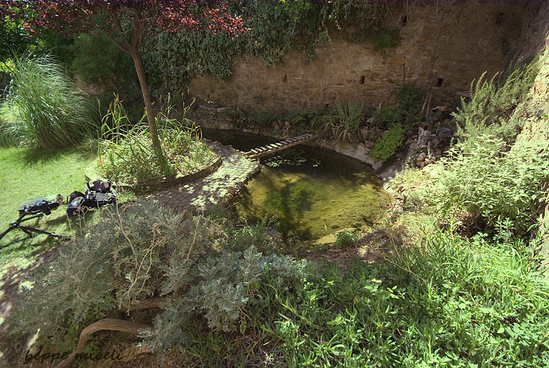 Il Laghetto del Centro di Entomologia - Piombino (LI)