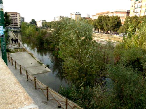 Garzette nel centro di Milano