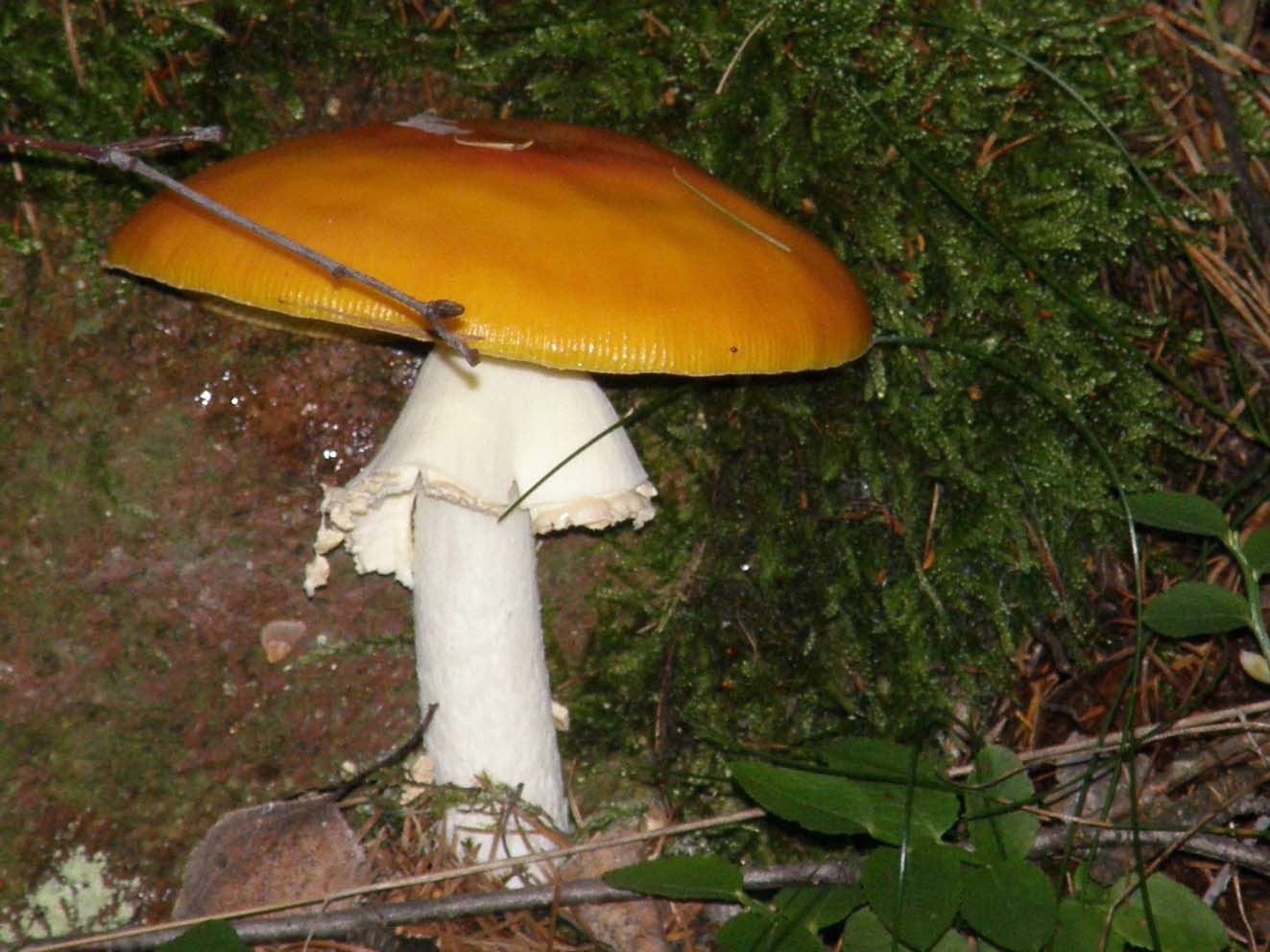 Bellissimo cappello giallo-arancio-rosso