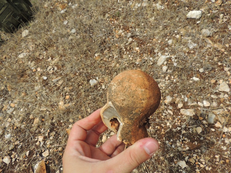 Aiuto identificazione (Gargano 2013)