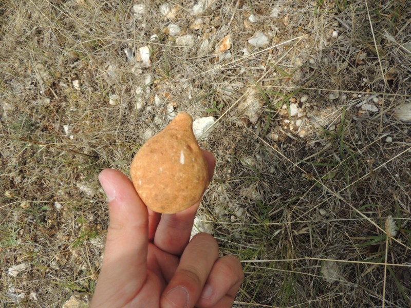 Aiuto identificazione (Gargano 2013)