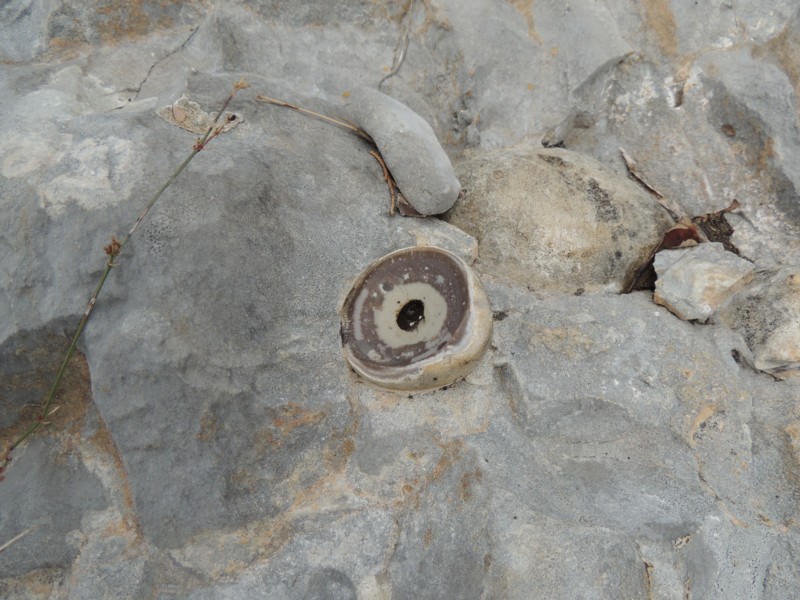 Aiuto identificazione (Gargano 2013)