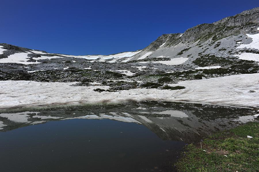 Branchipus sp. in alta quota nel PNALM