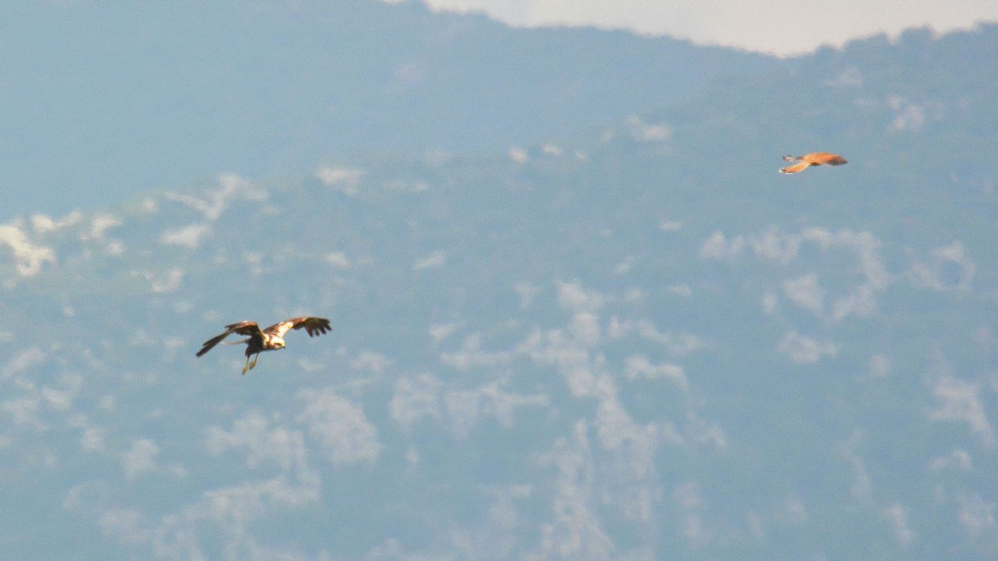 incontro in cielo