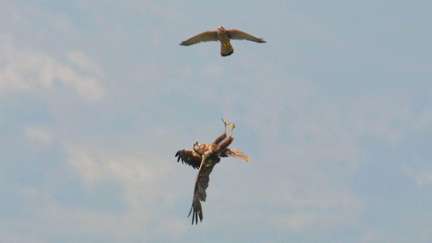 incontro in cielo