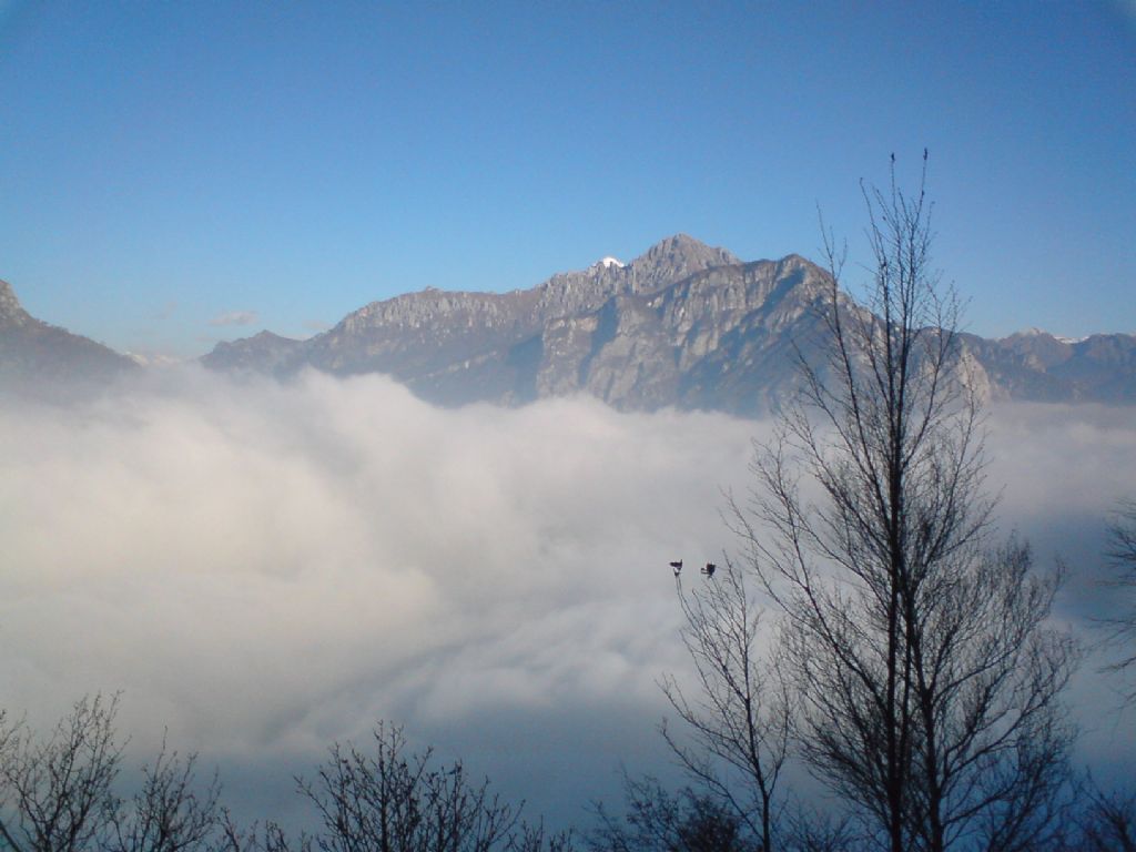 Panorami dal Monte Barro (LC)