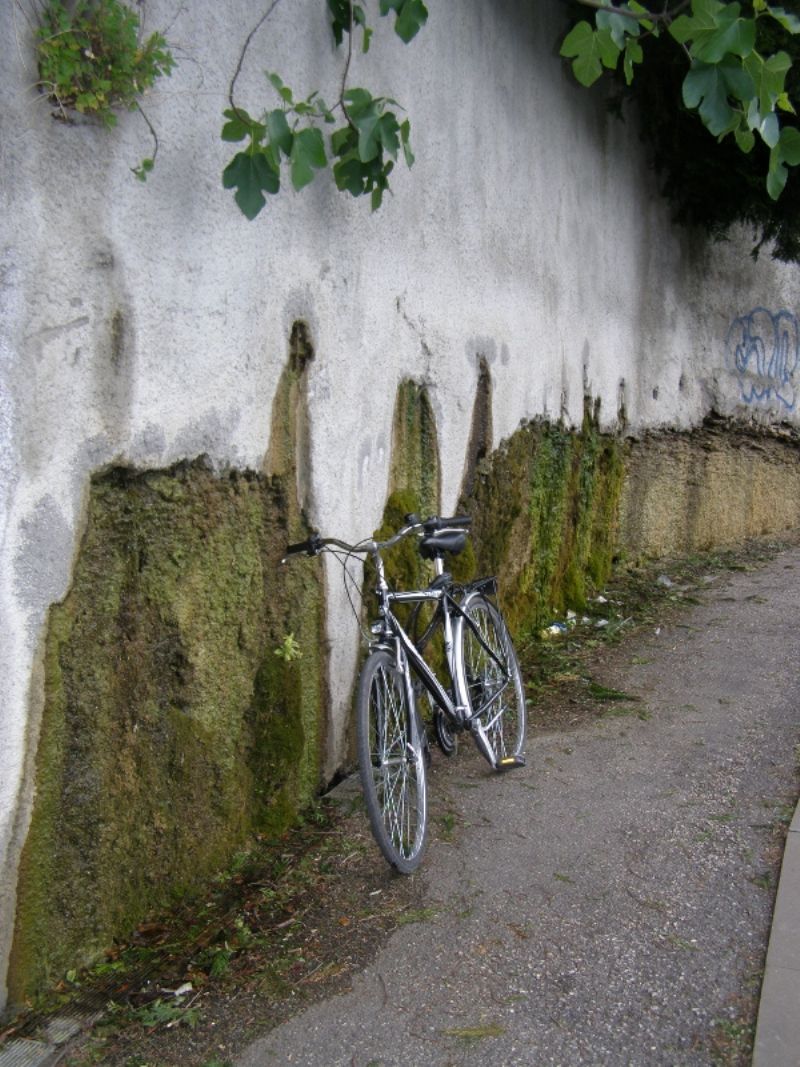 Ditteri dalla collina di Trento