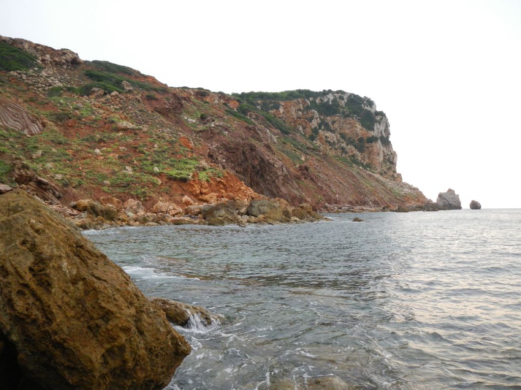 Gesso alabastrino , Natura Mediterraneo