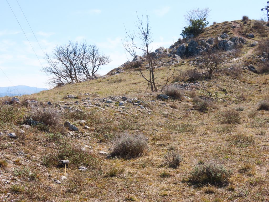 Lathys stigmatisata - Monte Bazzano (AQ)