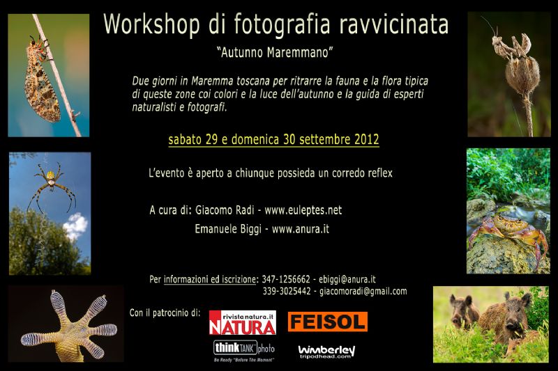 Workshop fotografico e naturalistico: 
