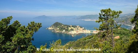 Golfo del Tigullio: Punta Manara