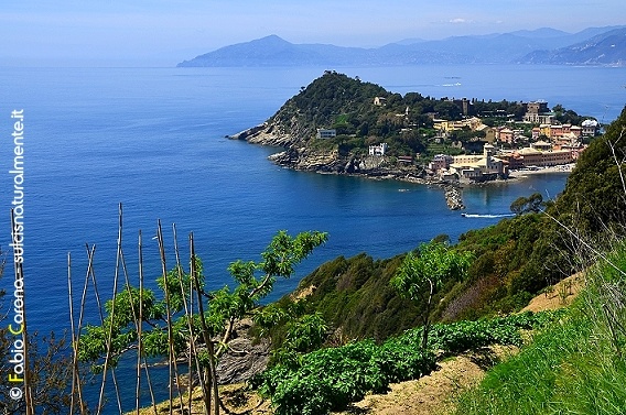 Golfo del Tigullio: Punta Manara