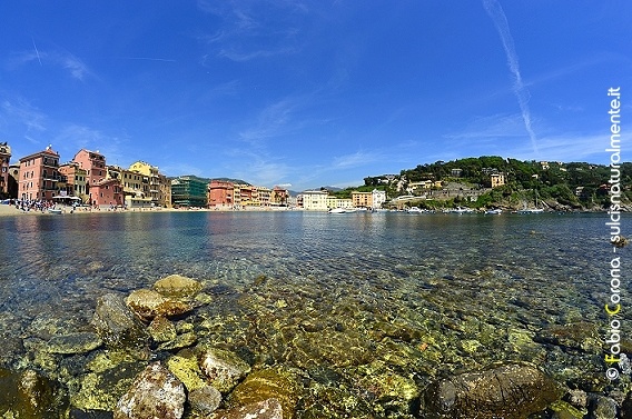 Golfo del Tigullio: Punta Manara