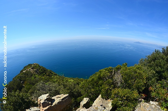 Golfo del Tigullio: Punta Manara