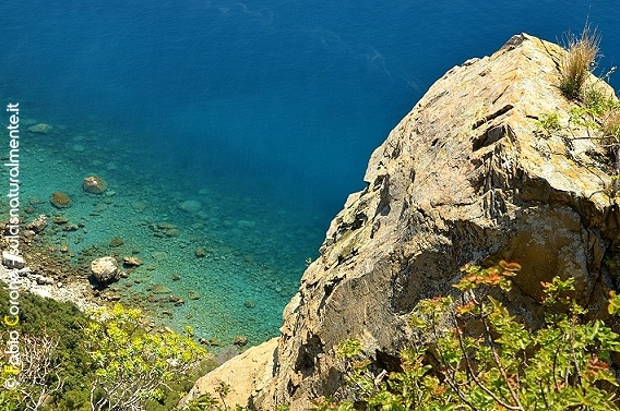 Golfo del Tigullio: Punta Manara