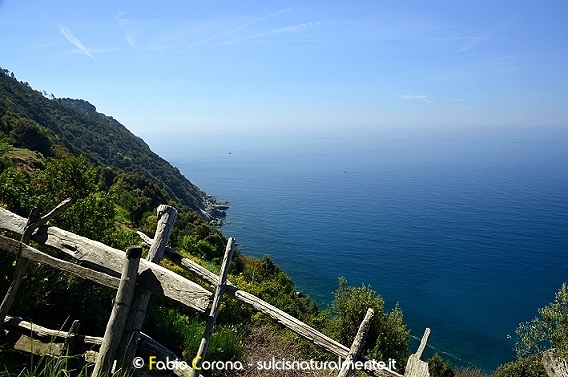 Golfo del Tigullio: Punta Manara