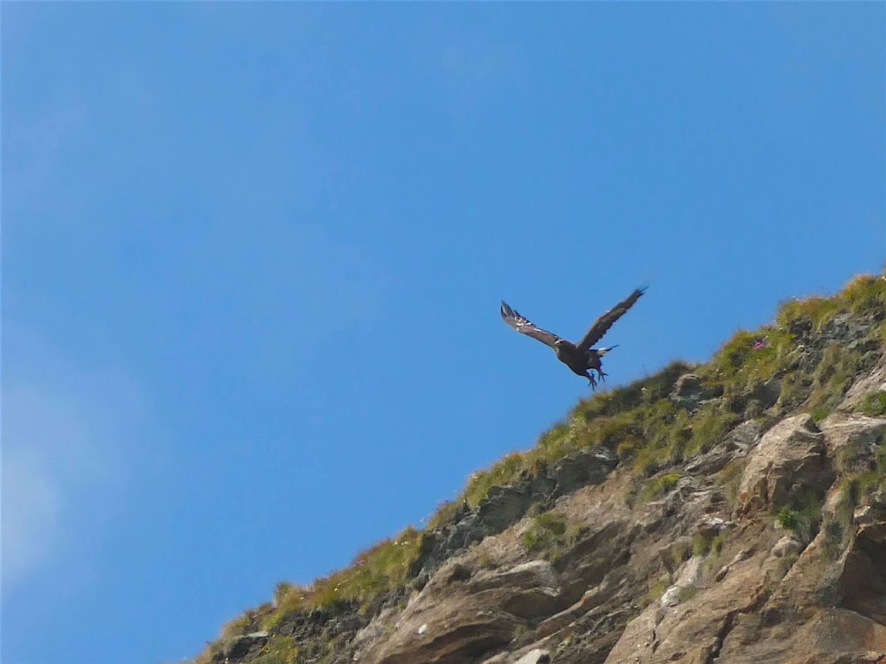 Il decollo dell''aquila (filmato e foto)