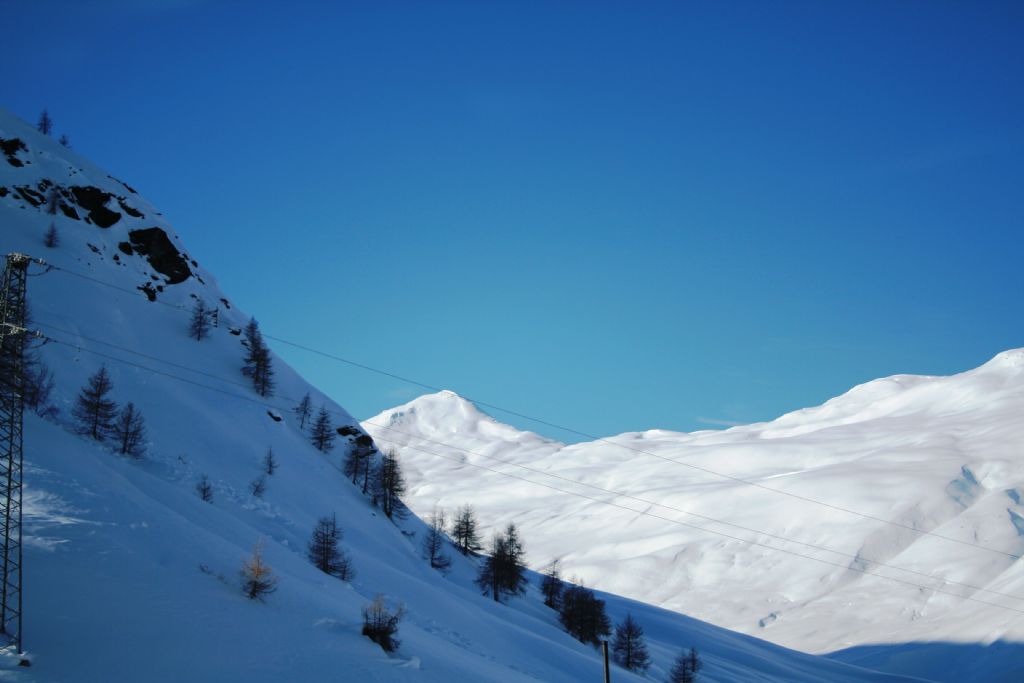 Alberi d''inverno... un invito