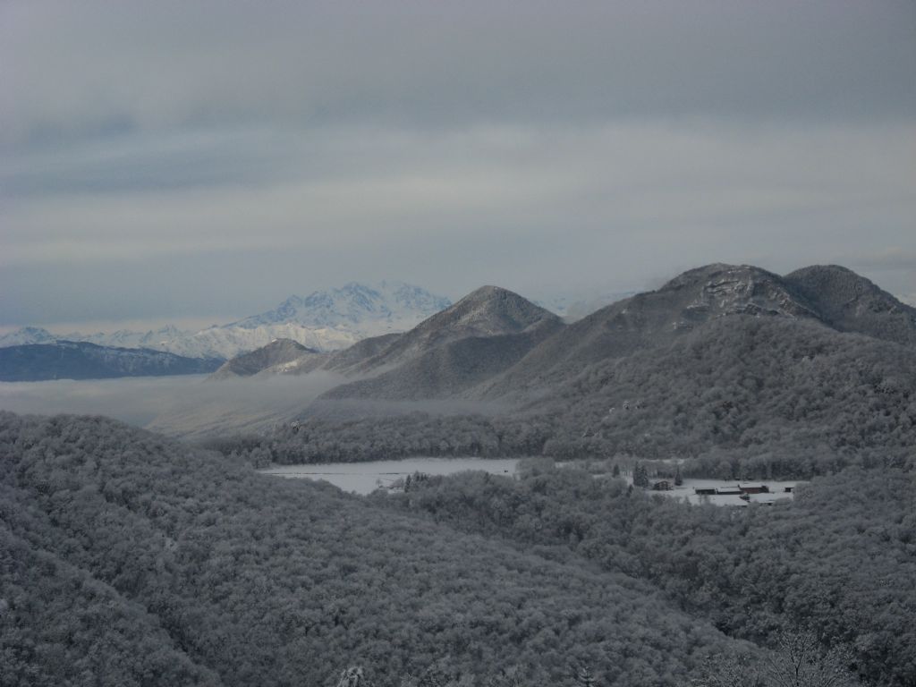 Alberi d''inverno... un invito