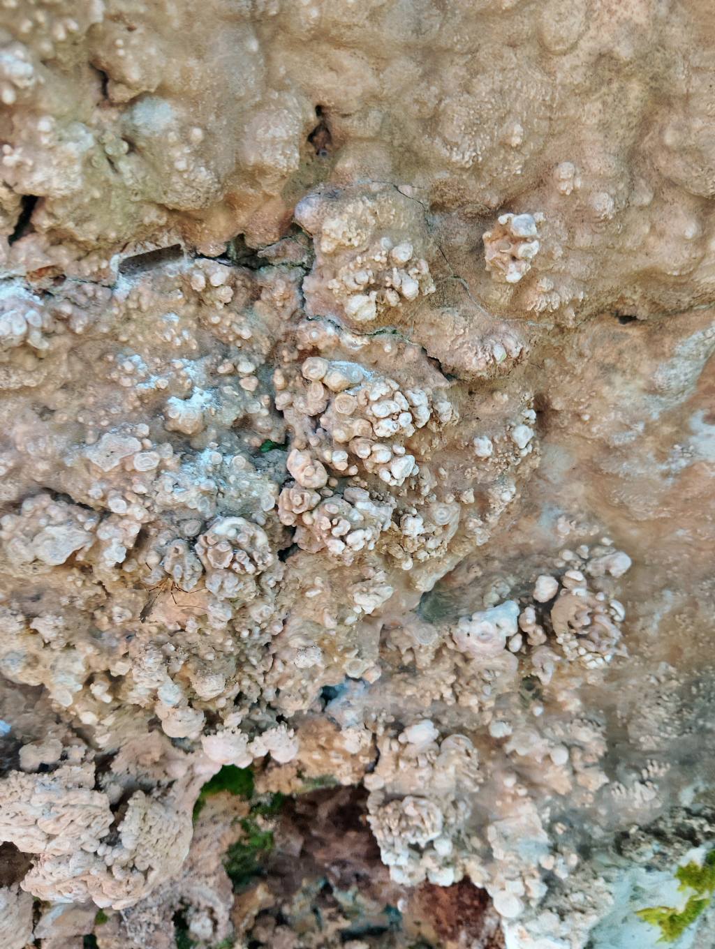 Roccia calcarea dalla strana forma
