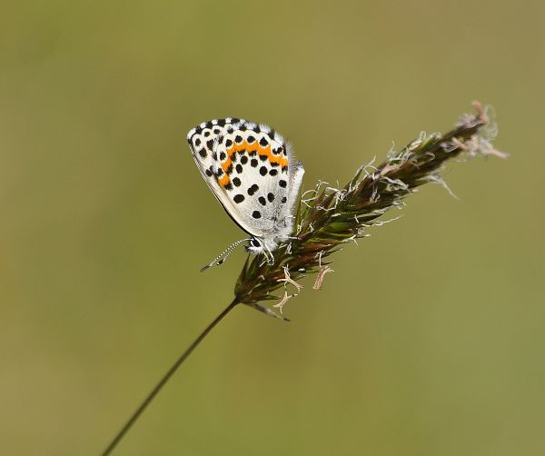 un salto in mezzo alla natura