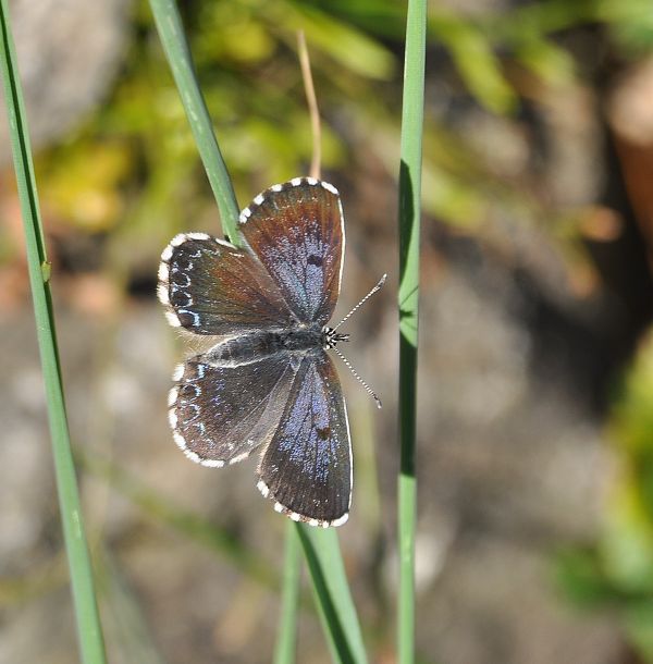 un salto in mezzo alla natura