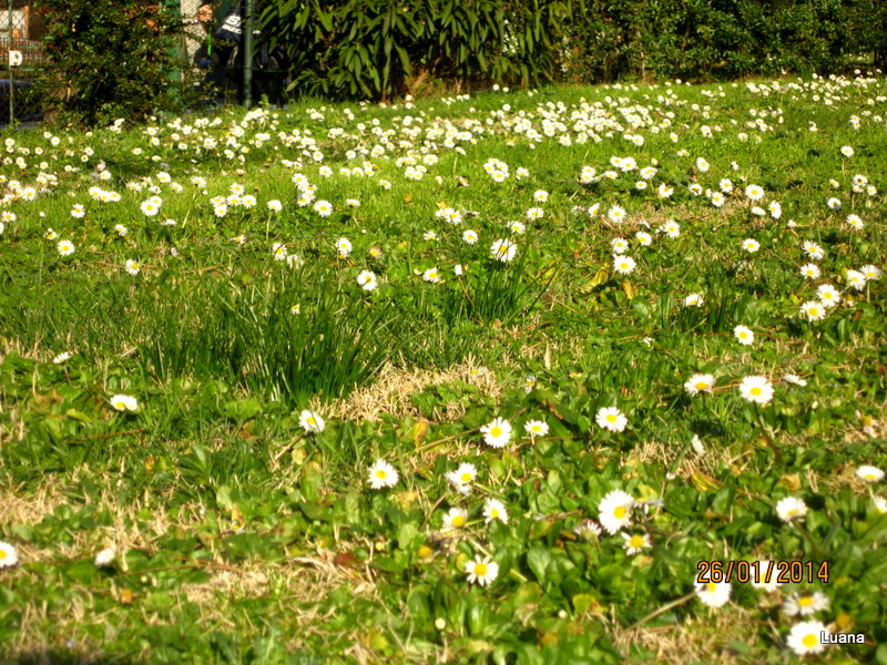 Prove di....PRIMAVERA