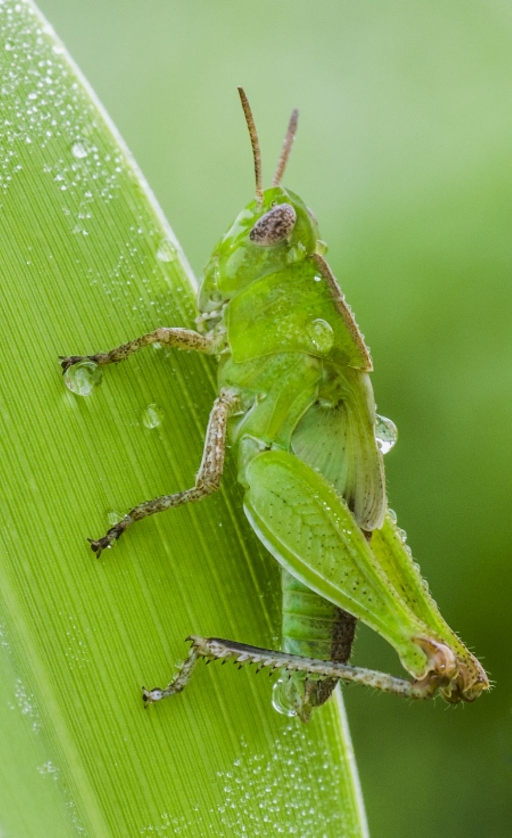 fotografato ieri