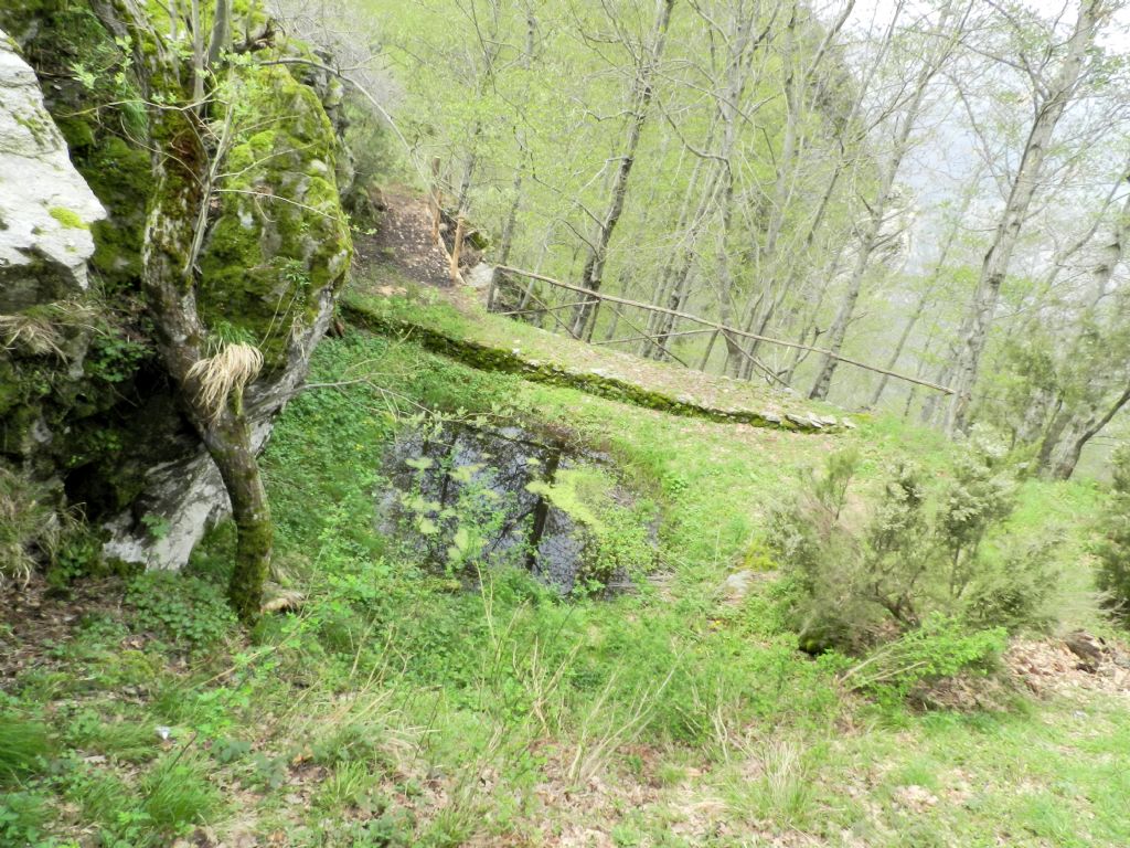 Orto Botanico Pietro Pellegrini sulle Alpi Apuane