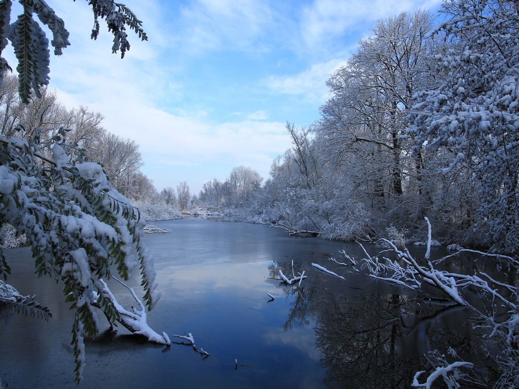 Parco Adda Sud , morta di Cavenago d''Adda ( Lodi)