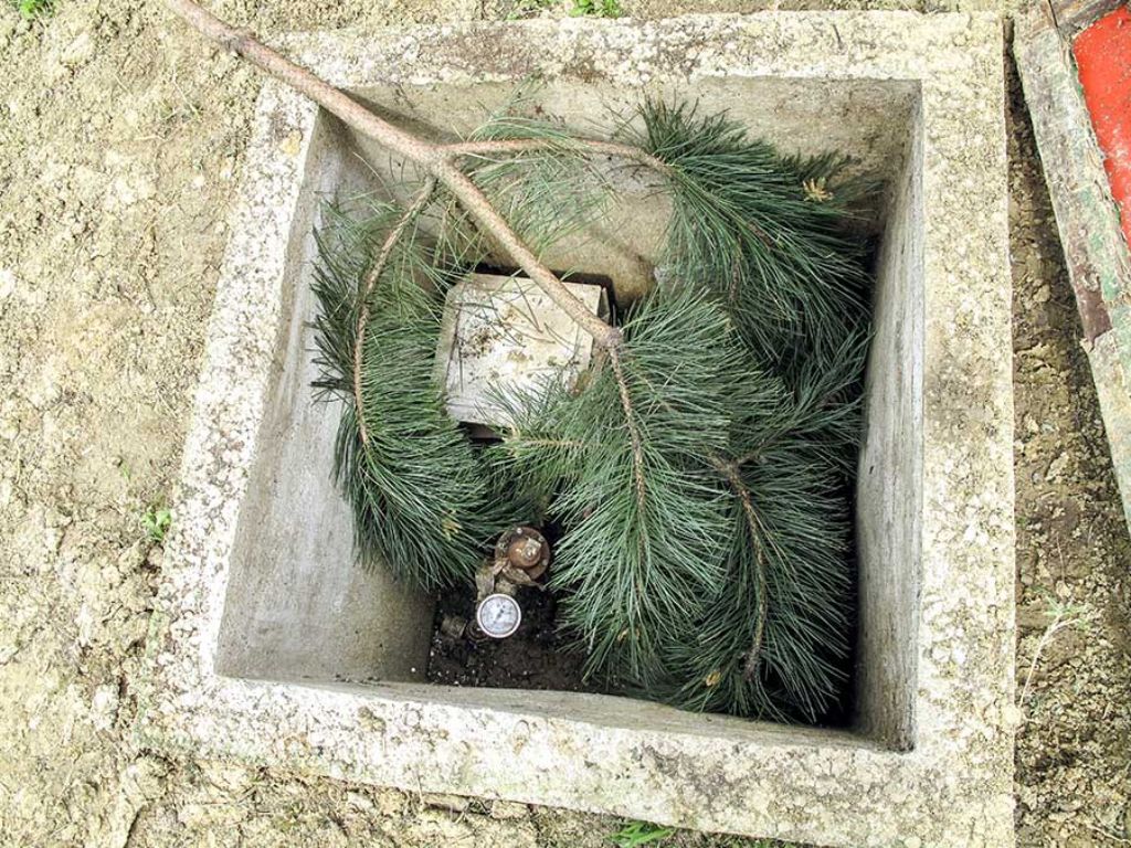 Piccolo serpentello nel pozzetto conteggio litri dell''acqua