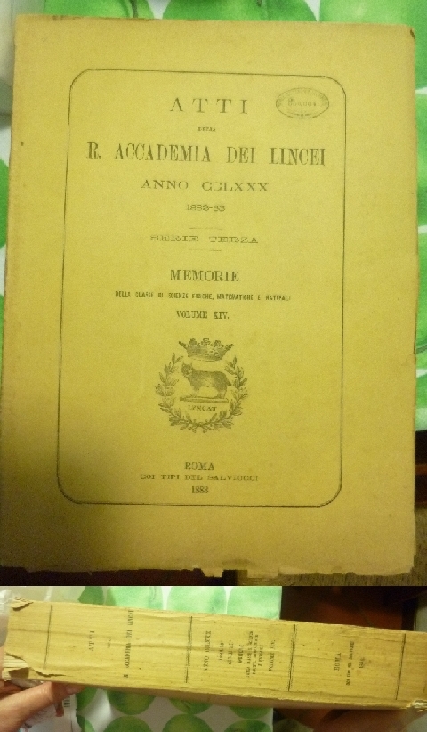 Le attinie Angelo Andres 1883, tavole