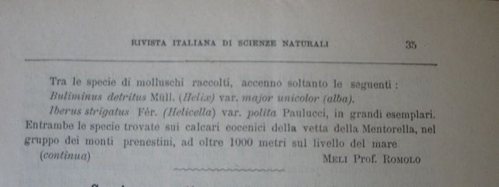 Meli Romolo , 1894 ,  Iberus signatus nella prv di Roma