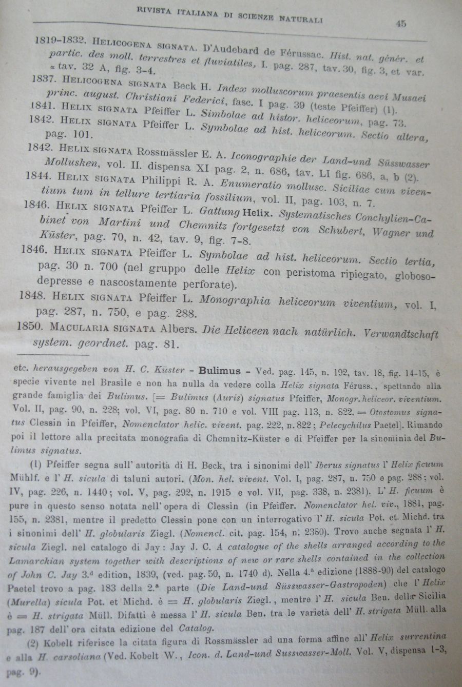 Meli Romolo , 1894 ,  Iberus signatus nella prv di Roma