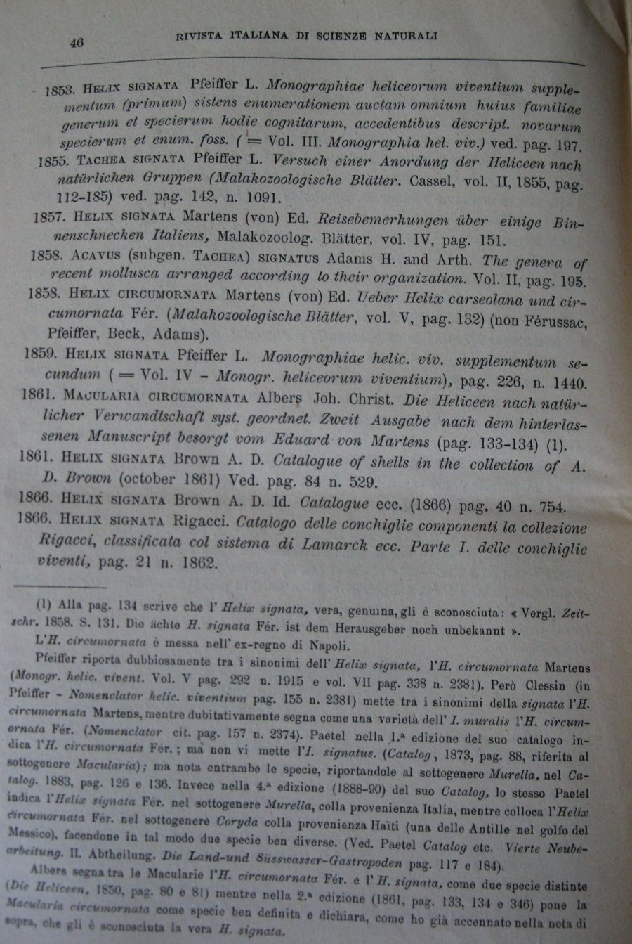 Meli Romolo , 1894 ,  Iberus signatus nella prv di Roma