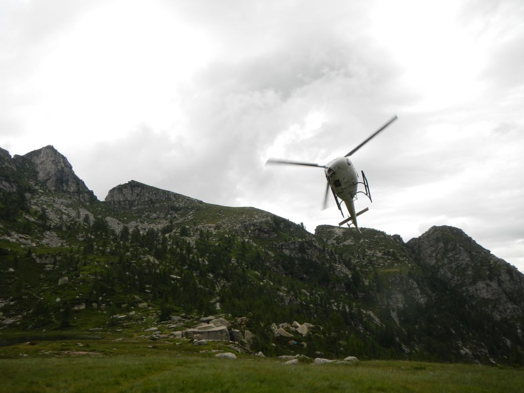 Laghetti alpini: protezione e studio