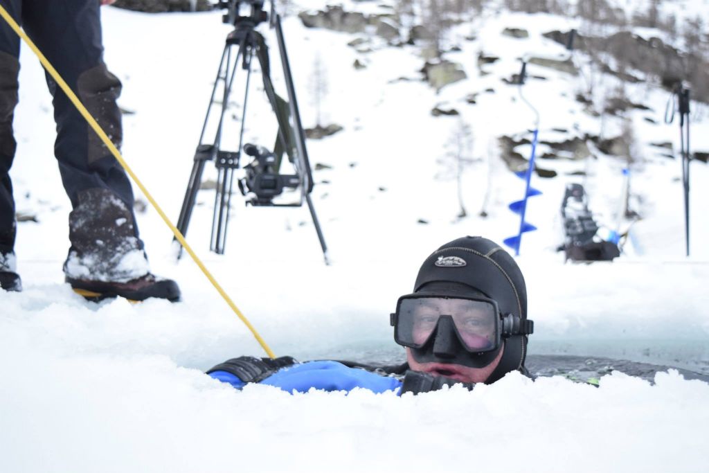 Laghetti alpini: protezione e studio