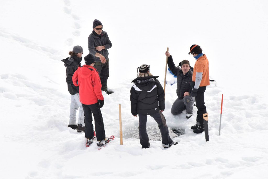 Laghetti alpini: protezione e studio