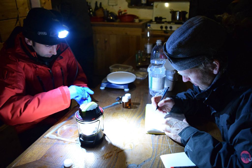 Laghetti alpini: protezione e studio