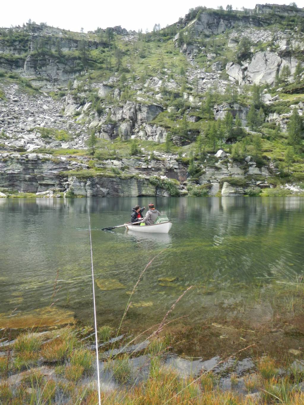 Laghetti alpini: protezione e studio