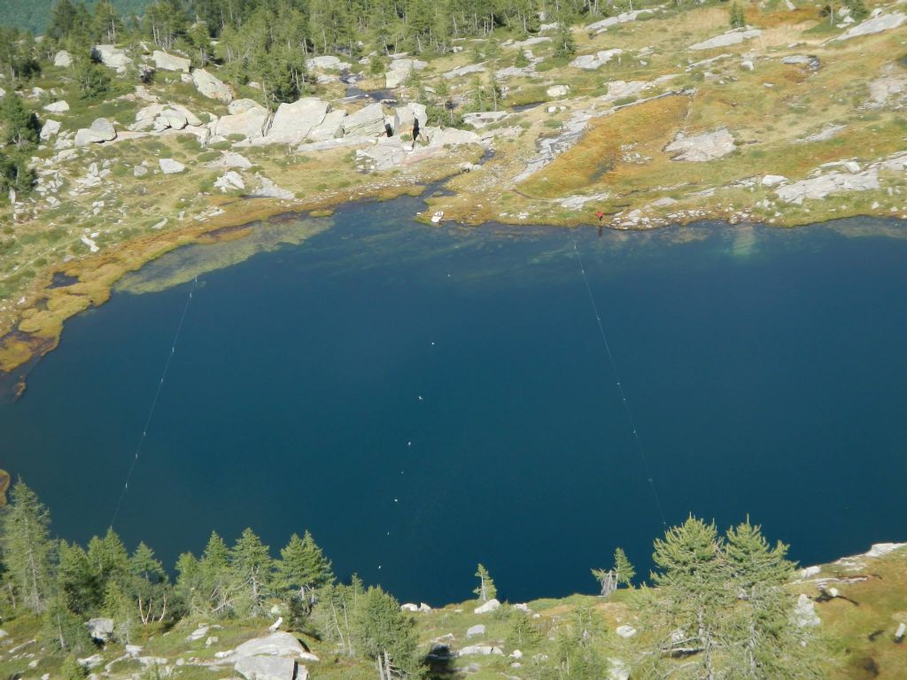 Laghetti alpini: protezione e studio