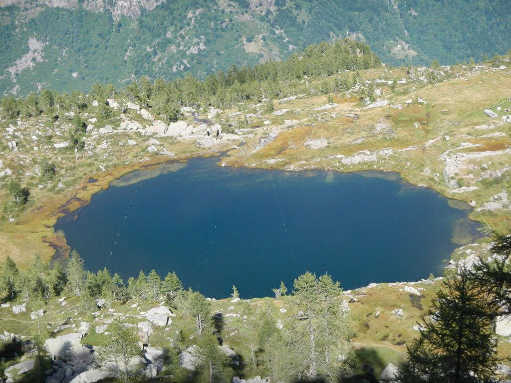 Laghetti alpini: protezione e studio