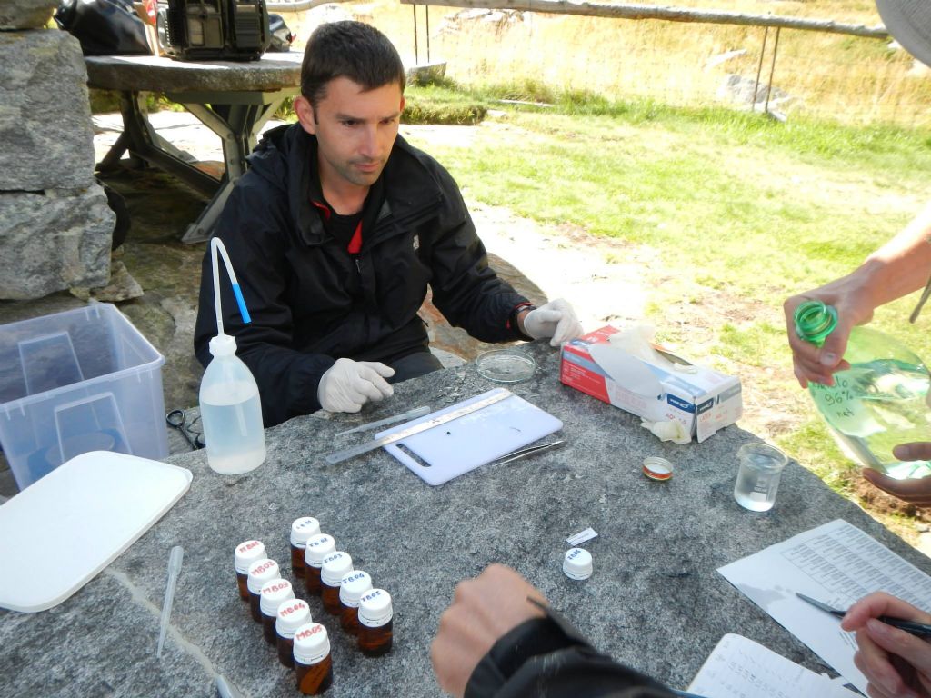 Laghetti alpini: protezione e studio