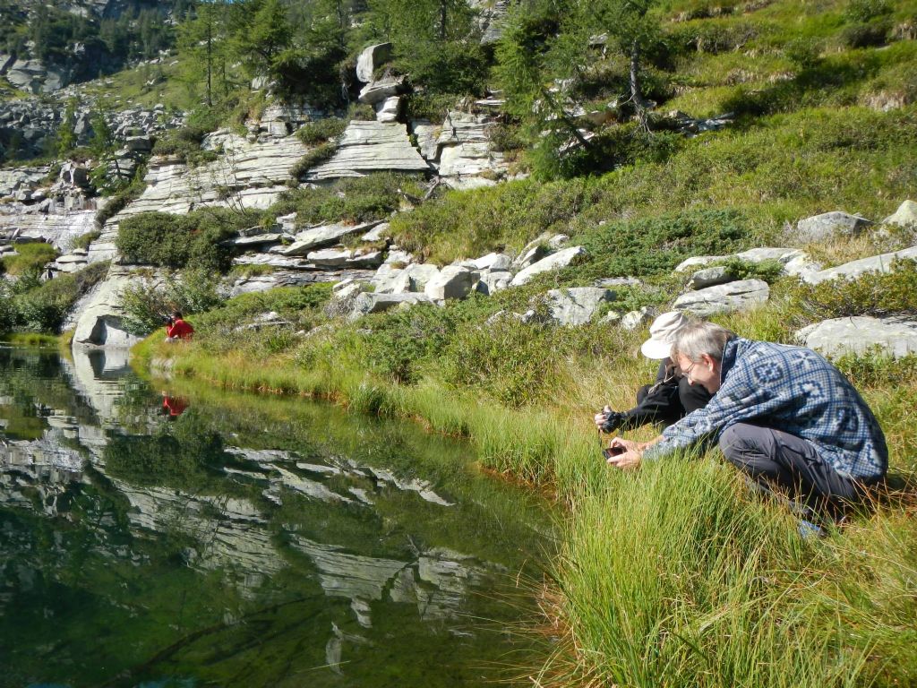 Laghetti alpini: protezione e studio