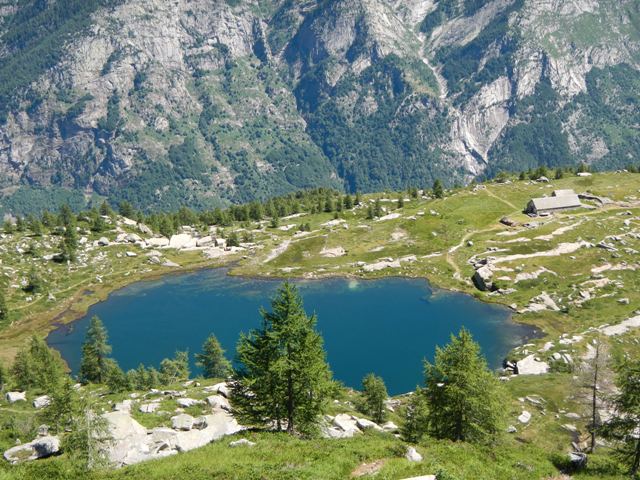 Laghetti alpini: protezione e studio