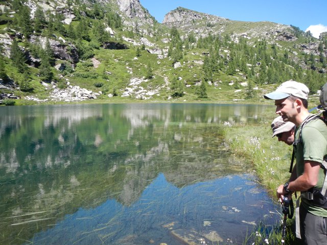 Laghetti alpini: protezione e studio