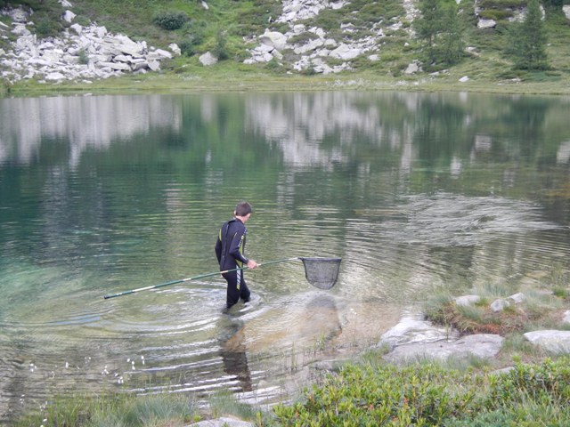 Laghetti alpini: protezione e studio